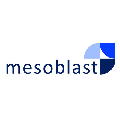 Mesoblast Angioblast